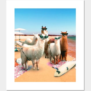 Funny Llama Beach Posters and Art